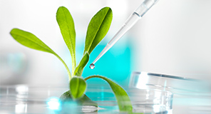 1277星际电子游戏股份,1277星际电子游戏设计,1277星际电子游戏水务,文旅投资