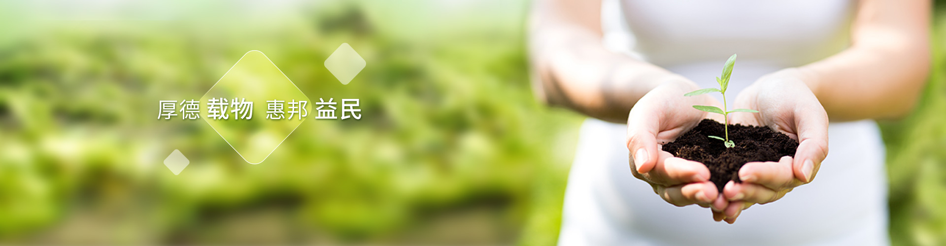 1277星际电子游戏股份