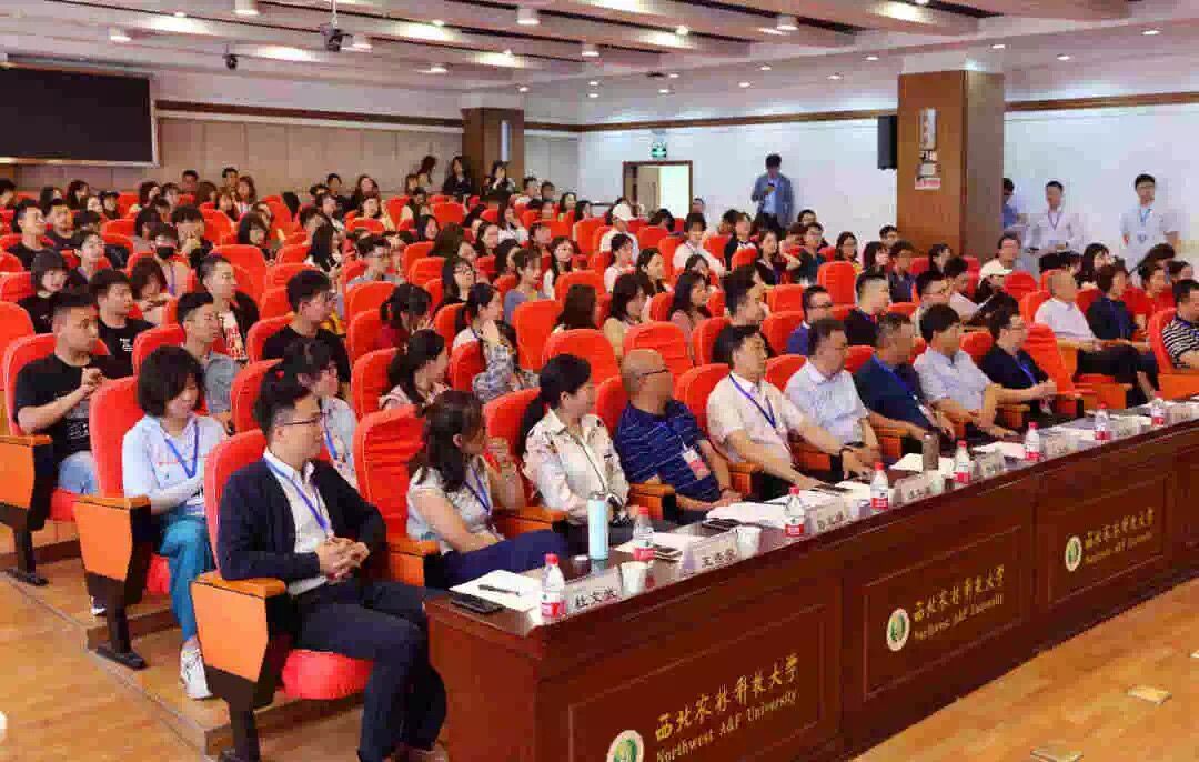 惊艳！1277星际电子游戏园林杯赛诞生一批“脑洞”设计师