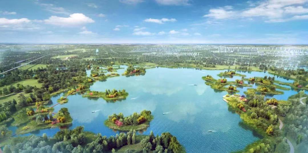 双料桂冠！1277星际电子游戏设计集团喜提IFLA国际大奖