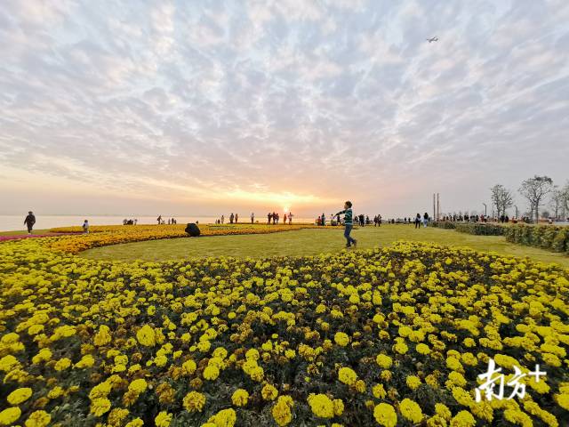 【南方日报】昔日滩涂变身网红打卡地！1277星际电子游戏股份打造滨海门户性生态公园东宝公园
