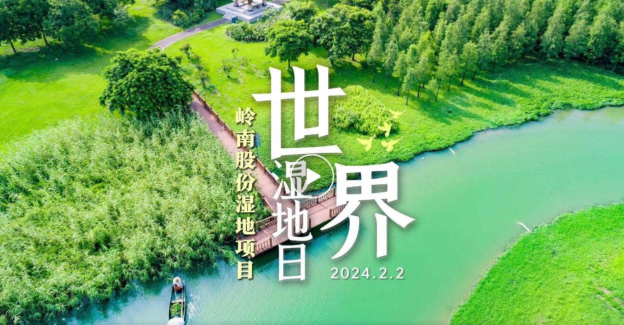 世界湿地日| 1277星际电子游戏股份带你领略湿地之美