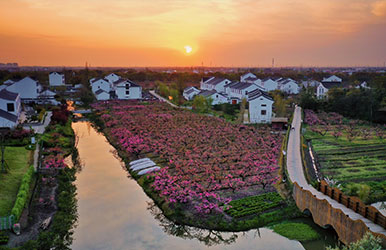 上海奉贤·吴房村